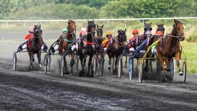 Courses de Chevaux