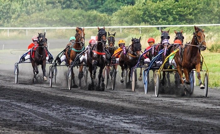 Courses de Chevaux